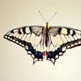 The swallowtail