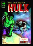 Hulk vs Rhino Cover by masuros