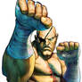 Street Fighter X Fatal Fury~Sagat Bio and quotes