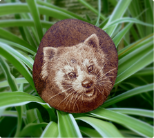 Red Panda fridge magnet