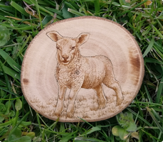 Pyrography Lamb