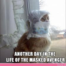 masked avenger