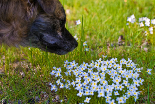 Take time to smell the flowers