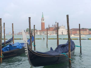 Venice IV