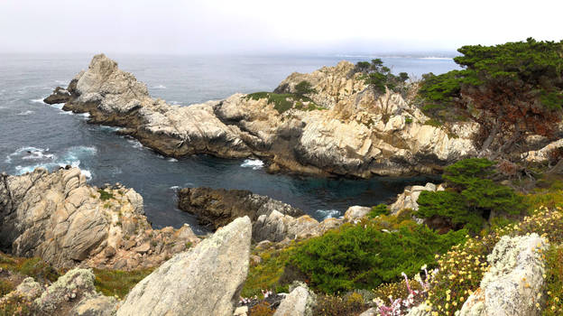 Point Lobos II