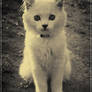 I miss you...