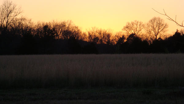 farmer's sunset