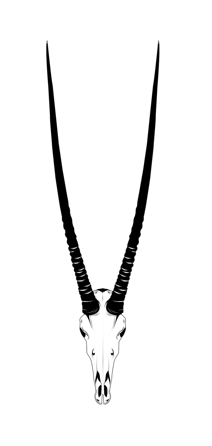 Oryx Skull By Oryx808 On Deviantart Oryx Skull By Oryx808 On Deviantart