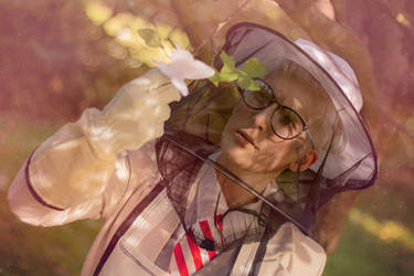 Hawkmoth On Miraculous Fandom Deviantart Hawkmoth On Miraculous Fandom Deviantart