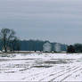 Farm at rest