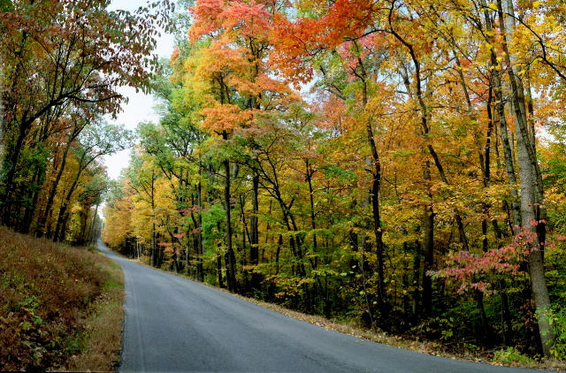 Twisted fall road by harrietsfriend on DeviantArt