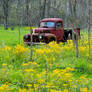 Grandma Barnes truck