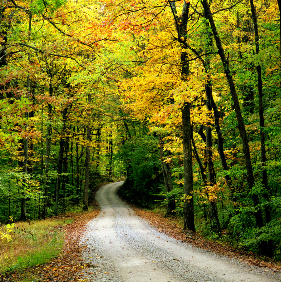 Bean Blossom Bridge road