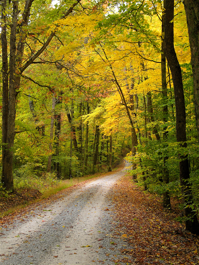 Bean Blossom road,L1040099