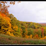 Park panoramic.framed.img594 1 1dA