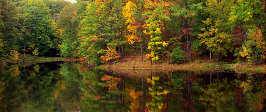 Morrison Lake early fall.img599