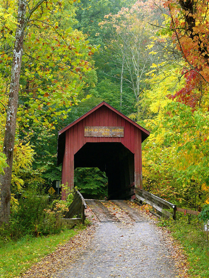 Bean Blossom bridge.L1040034 1