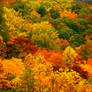 Fall valley, full image.img614