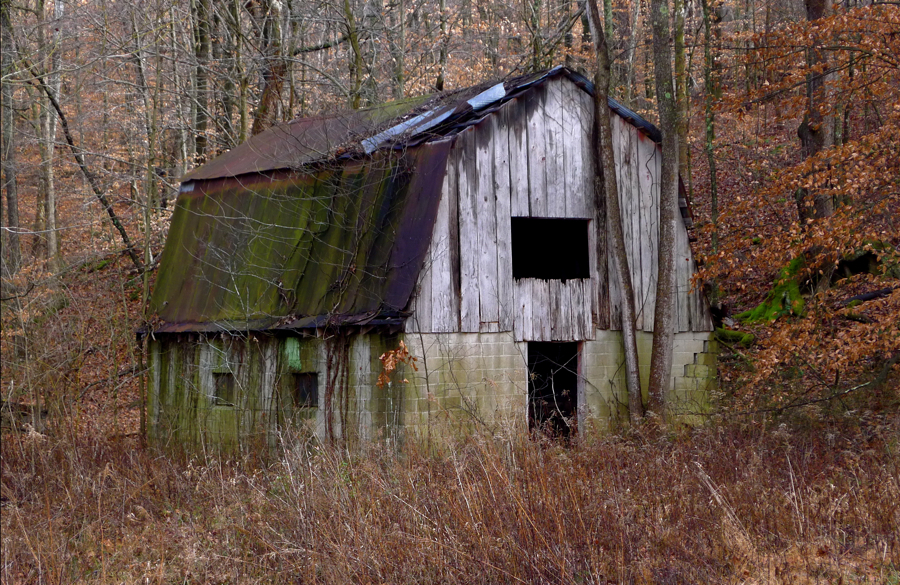 Field barn.L1010048