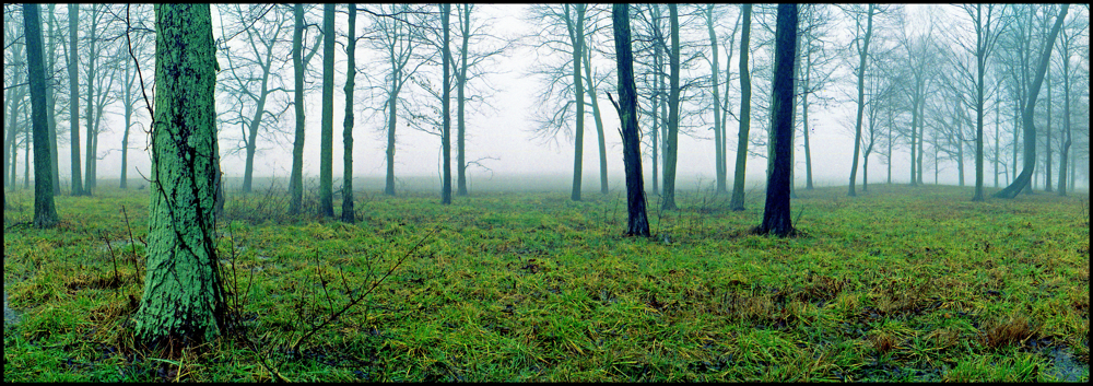 Panoramic field in fog.img697 1 1