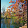 Spring Grove pond, vertical.img708 1