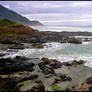 Oregon Coast.L1010640 1