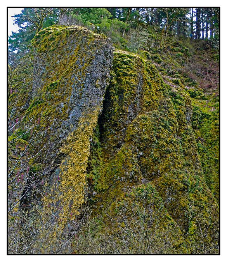 Cliff side.L1010489