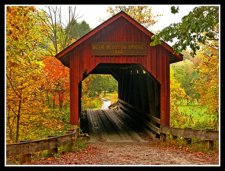 Covered bridge, back view.L1060875 with story