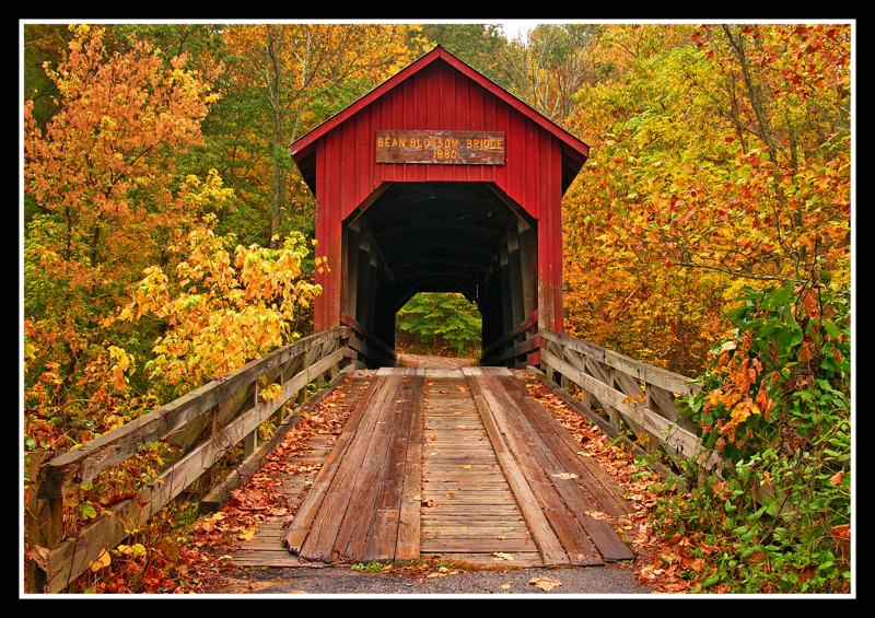 Bean Blossom bridge, redux L1060873 with story