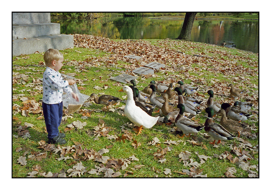 Feeding ducks.img464, with story