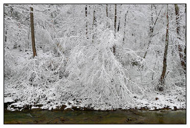 Snow to the creek.L1010385, with story