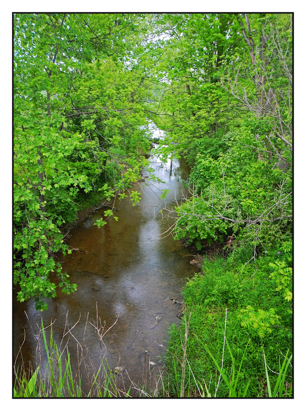 Rainy day stream.DSCN2185, with story