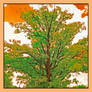 Alternative world tree. IRD-200.1837, with story