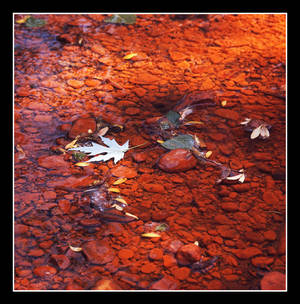 Streambed. img162, with story by harrietsfriend Streambed. img162, with story by harrietsfriend