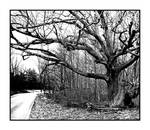 Overreach. L1000129, with story by harrietsfriend