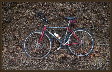 Winter bicycle. DSCN0532, with story by harrietsfriend