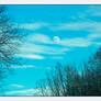 Daytime Moon. L1001271, with story