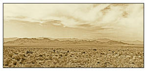 Passing through the desert. img443, with story