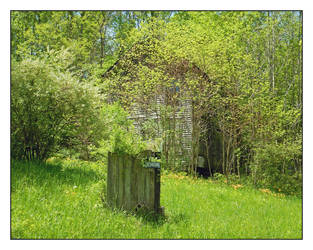 Overgrown home. DSCN4805, with story