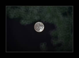 Perigee Moon 3.D800-4103