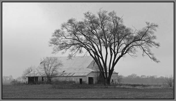 Farm, black and white. L1030607with story