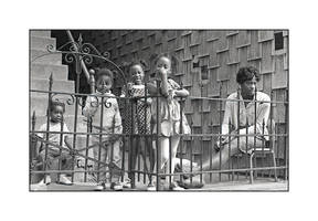 Audience. img320, with story