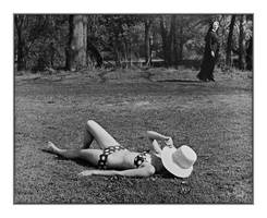 Sunbather. L1330434, with story