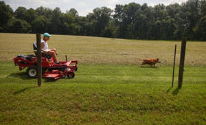 Neighbors. DSCN2251, with story