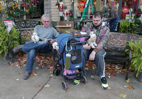 Shopping husbands. L1070667, with story