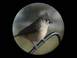 Test shot. 2.L1050020, with story