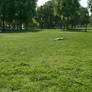 In the park. 2.L1080094, with story