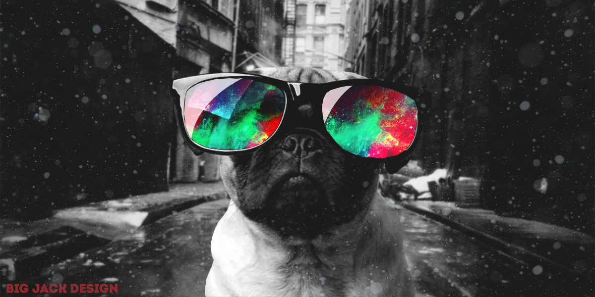 Crazy Dawg by BigJackD on DeviantArt