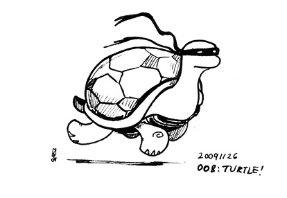 008 - Turtle