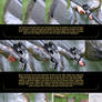 Army Squirrel Tutorial